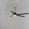 Maxim Lighting Daisy 60'' 5-Blade Fan w LED Light Kit, Black/Gold 88826BKGLD - alternate 2